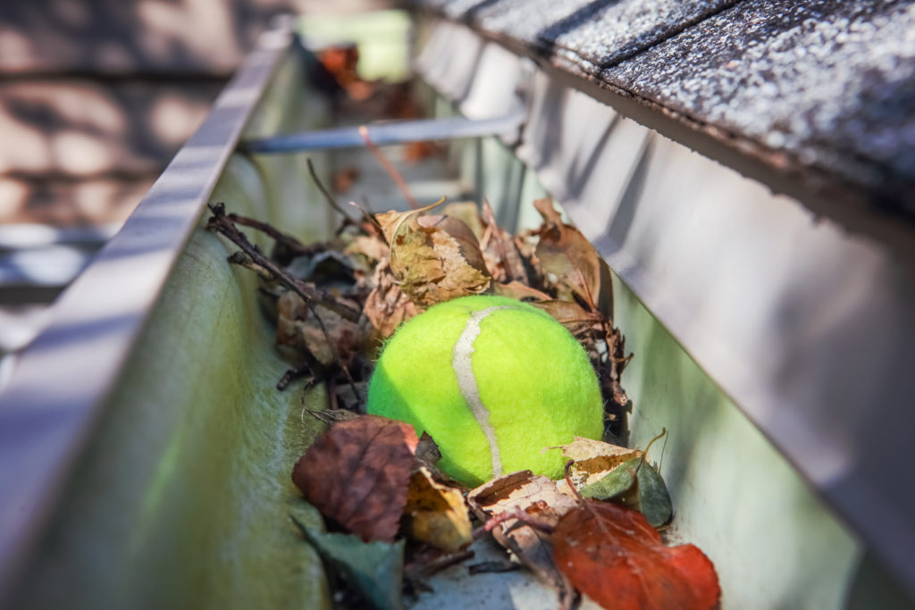 Gutter Cleaning